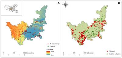 Priority planting area planning for cash crops under heavy metal pollution and climate change: A case study of Ligusticum chuanxiong Hort
